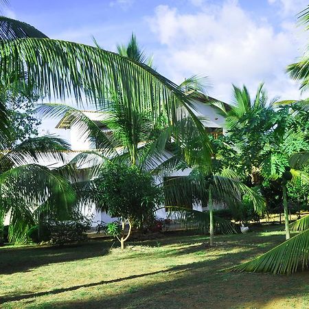 Coconut Garden House Hotel อุดาวาลาเว ภายนอก รูปภาพ