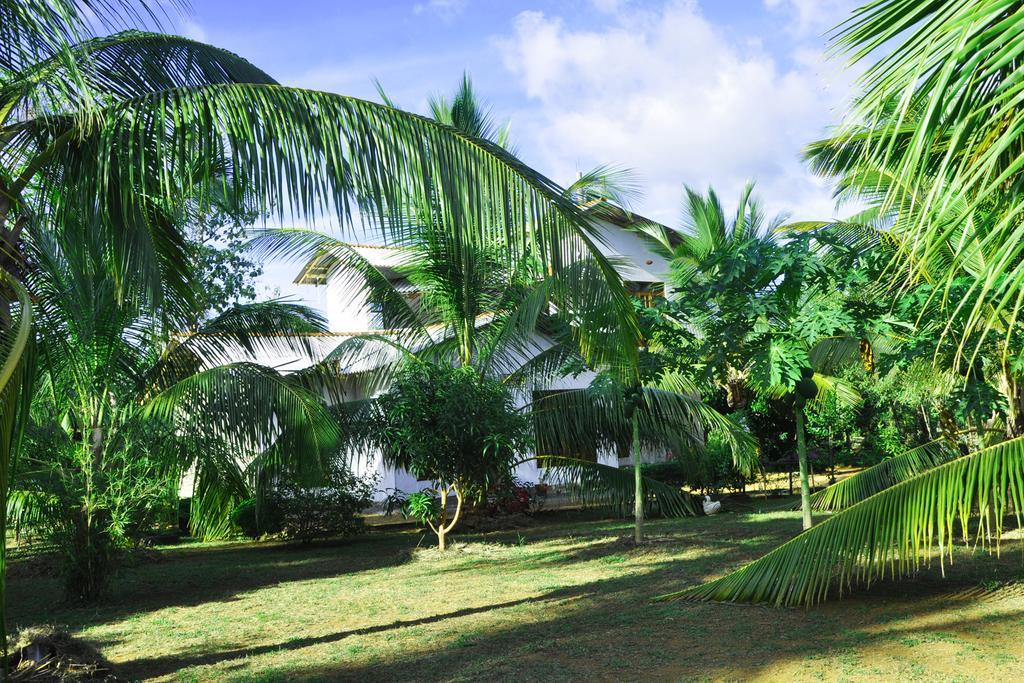 Coconut Garden House Hotel อุดาวาลาเว ภายนอก รูปภาพ