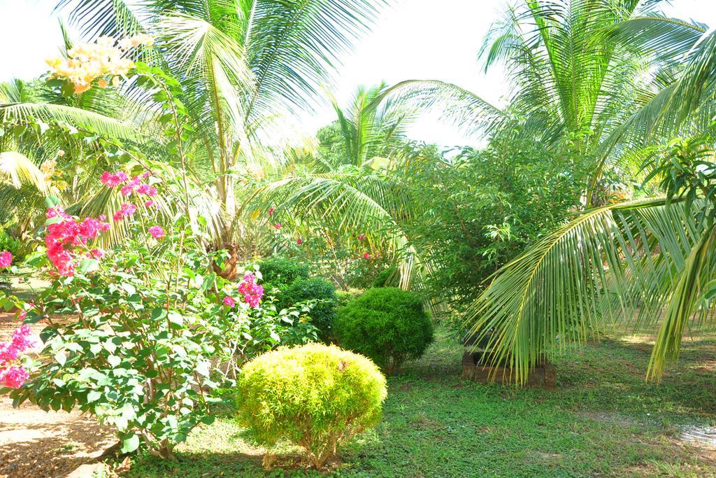 Coconut Garden House Hotel อุดาวาลาเว ภายนอก รูปภาพ