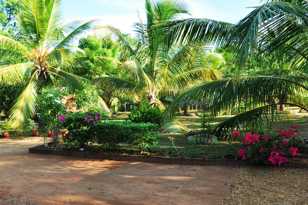 Coconut Garden House Hotel อุดาวาลาเว ภายนอก รูปภาพ