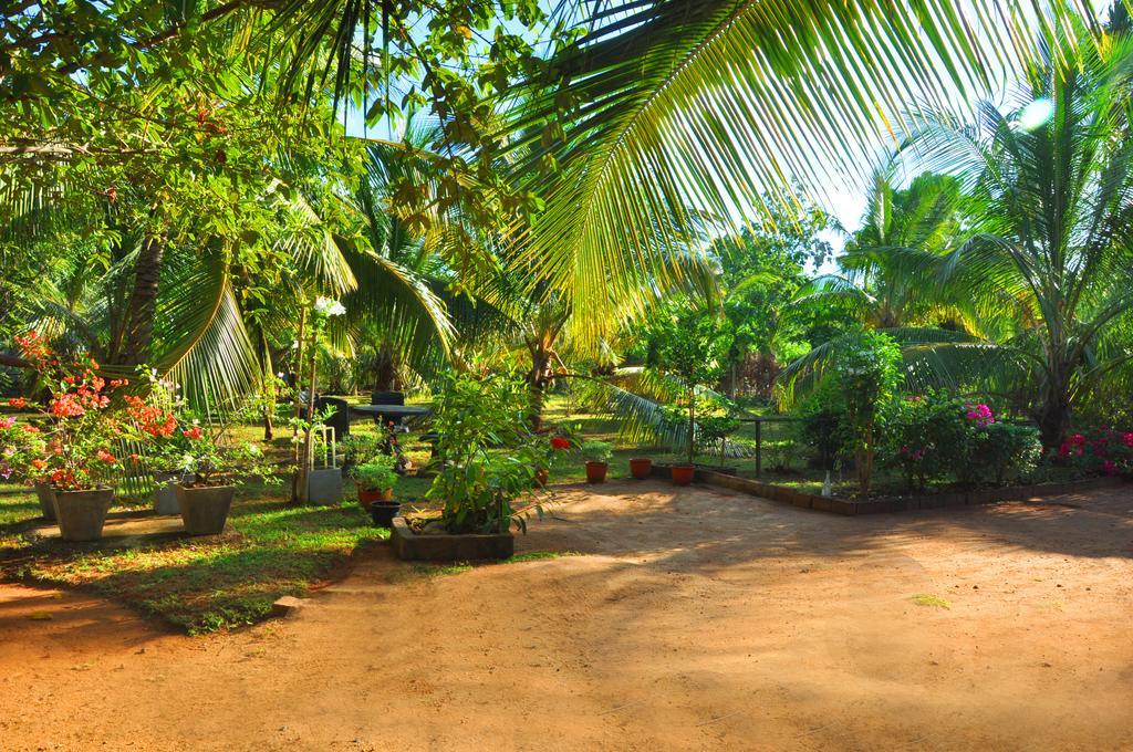 Coconut Garden House Hotel อุดาวาลาเว ภายนอก รูปภาพ