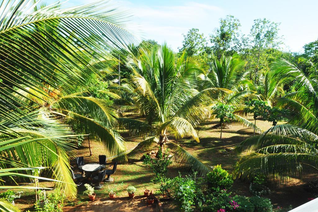 Coconut Garden House Hotel อุดาวาลาเว ภายนอก รูปภาพ
